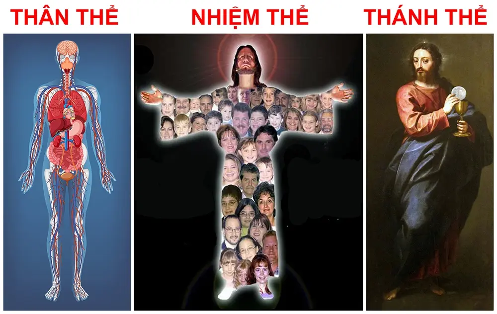 Thân Thể – Nhiệm Thể – Thánh Thể